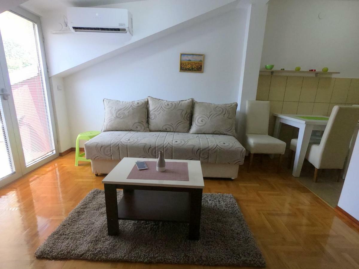 Apartman Zenit Vrnjacka Banja Luaran gambar